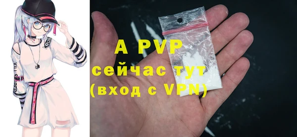 крисы Армянск