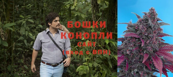 прущая мука Арсеньев