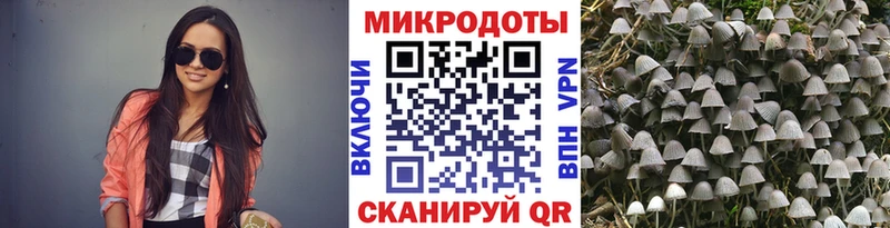 Галлюциногенные грибы ЛСД  купить  цена  Лабинск 